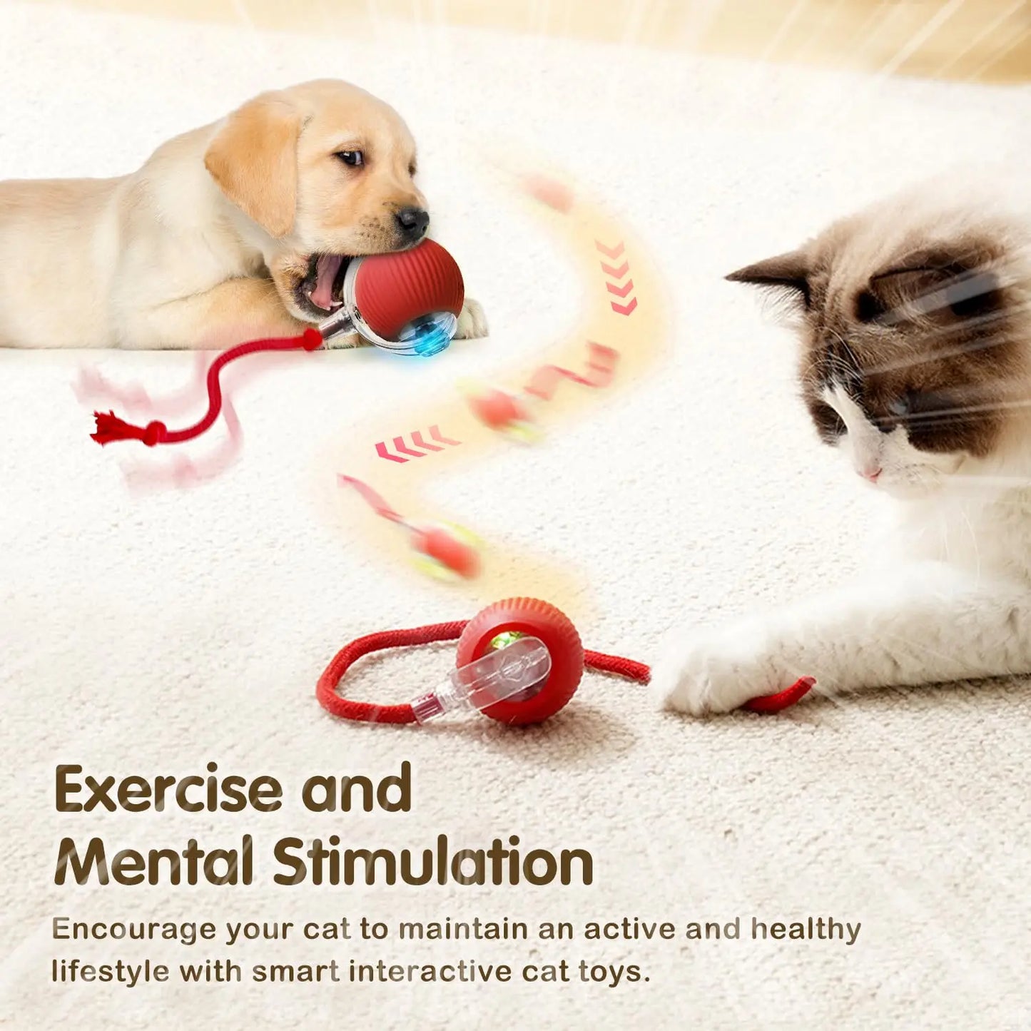 Automatic Rolling Pet Ball