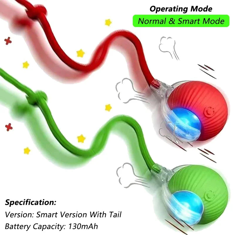 Automatic Rolling Pet Ball