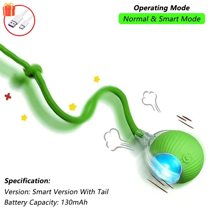 Automatic Rolling Pet Ball