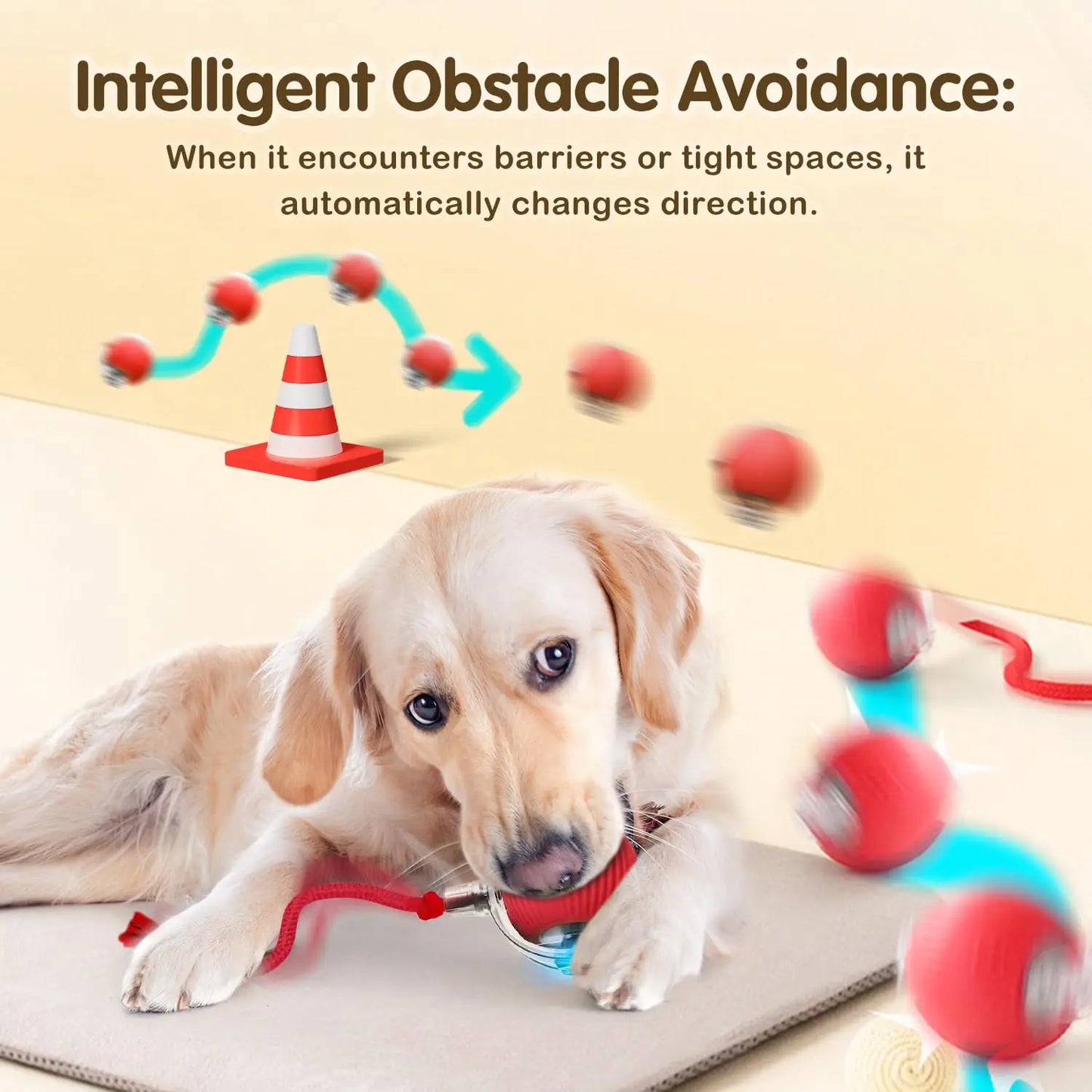 Automatic Rolling Pet Ball
