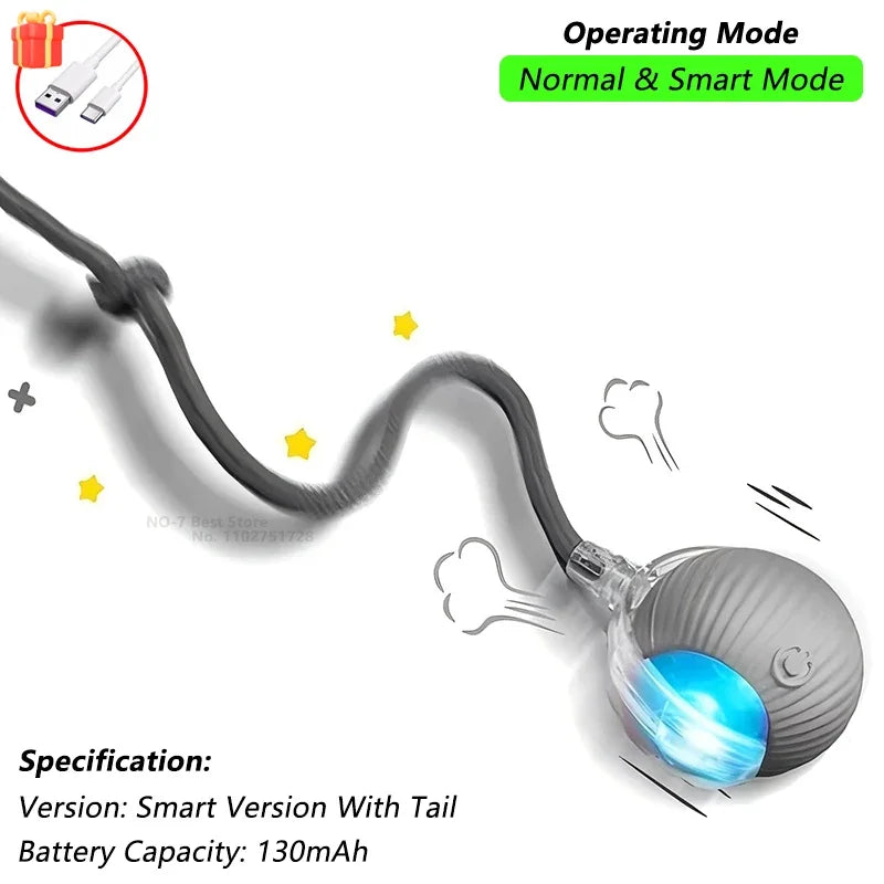 Automatic Rolling Pet Ball