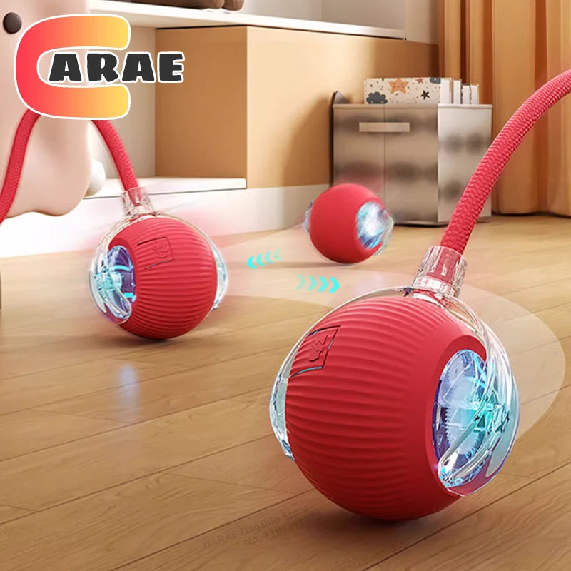 Automatic Rolling Pet Ball
