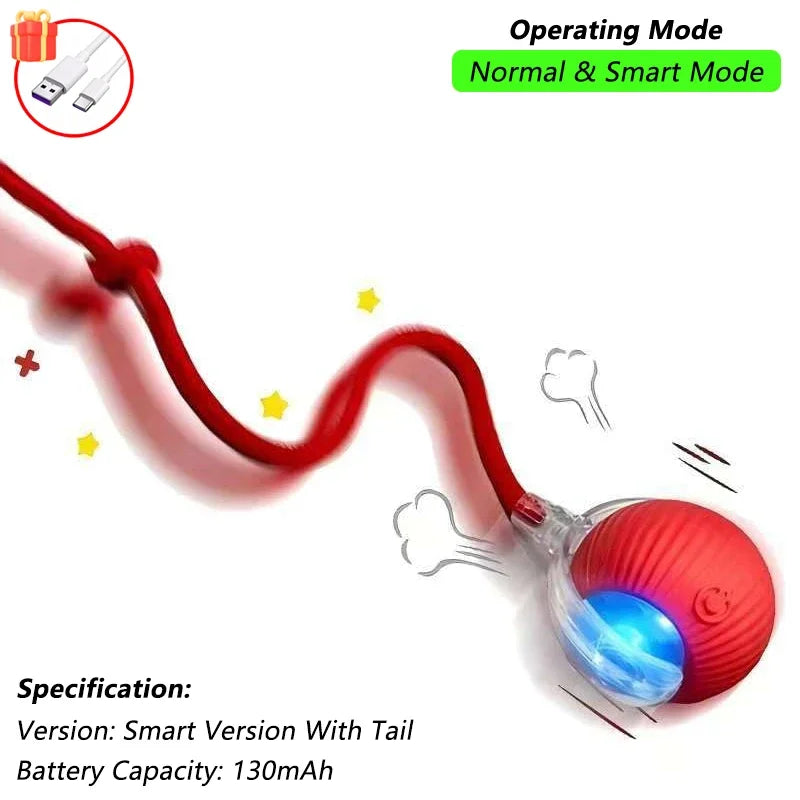 Automatic Rolling Pet Ball