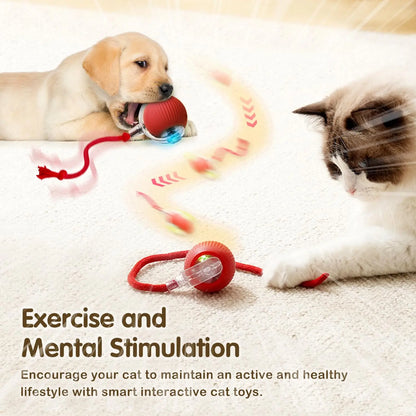 Automatic Rolling Pet Ball