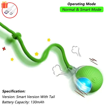 Automatic Rolling Pet Ball