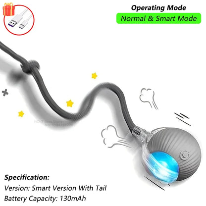 Automatic Rolling Pet Ball