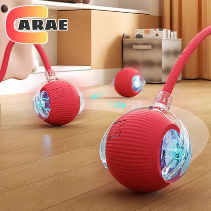 Automatic Rolling Pet Ball
