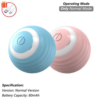 Automatic Rolling Pet Ball